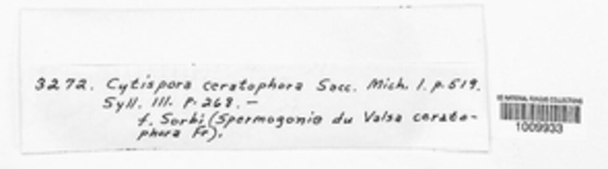 Cytospora ceratophora image